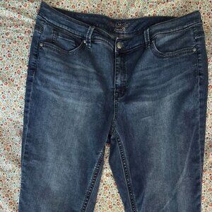 Melissa McCarthy Seven7 jeans